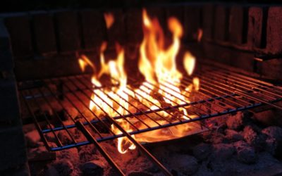 Don’t miss your grilling – Choose the right wine