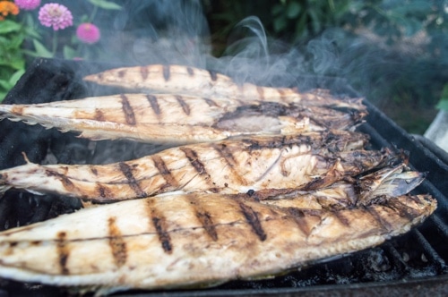 gegrillter Fisch