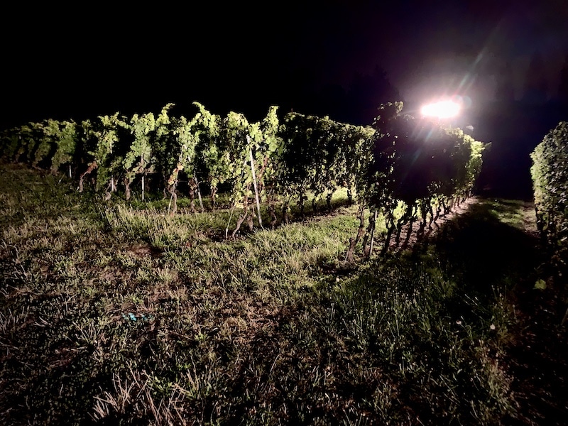 2020-vendanges-machine Image machine a vendanger nuit