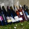 selection chevaliers vignerons dardagny